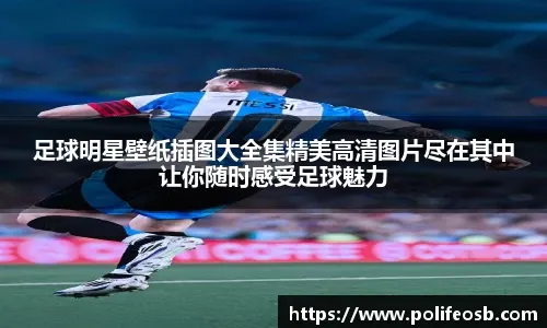 护篮板与
