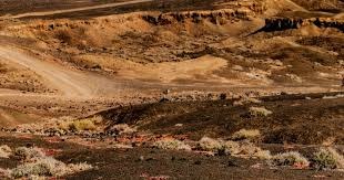 [篮球]宫鲁鸣不再担任中国篮协副主席